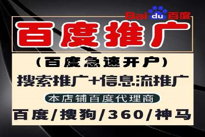 某公司通过SEM运营提升品牌知名度的实践